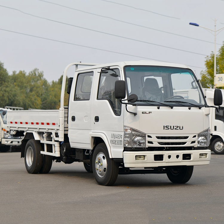 ISUZU 100P Double cabin truck